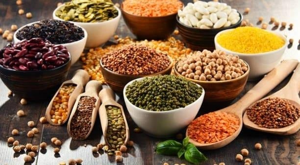Pulses & Grains Export